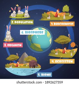 Biological hierarchy infographics illustrated images of organism population biocoenosis biome ecosystem cartoon vector illustration svg