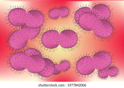 Biological Illustration Of Gonorrhea Bacteria In The Human Body, Infection Caused By A Sexually Transmitted Bacterium That Infects Both Males And Females. Gonorrhea Most Often Affects The Urethra. 