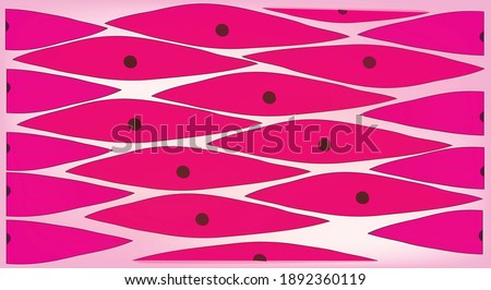 biological structure of smooth muscle tissue (Anatomy of smooth muscle cells), Smooth muscle is a type of muscle tissue which is used by various systems to apply pressure to vessels and organs. 