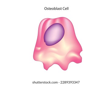 Vector biológico de la célula osteoblast