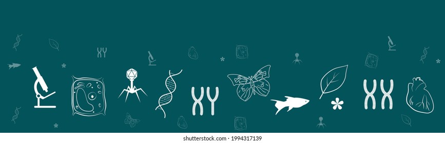 Biology banner with copy space. Vector illustration of biology. Biological banner.