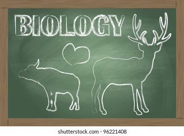Biology blackboard vector background