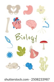 Biology Clipart Vector Illustration. Back to School. Science