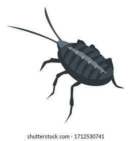Biology cockroach icon. Isometric of biology cockroach vector icon for web design isolated on white background