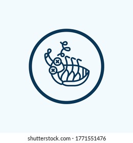 Biology cockroach icon. Isometric of biology cockroach vector icon for web design isolated on white background
