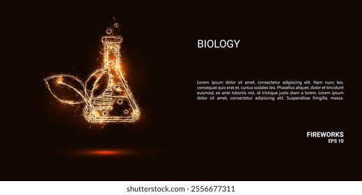 Biology. Biology consists of sparks and fire. Festive bright fireworks. Decorative element for celebrations and holidays. Vector illustration.