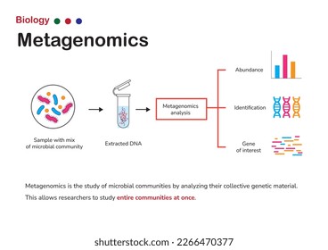 Biology diagram show concept of metagenomics that is a field of microbiology that studies the genetic material of entire microbial community.