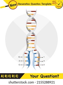 Biology, DNA helix, DNA replication, next generation question template, dumb physics figures, eps