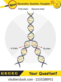 Biología, hélice del ADN, replicación del ADN, plantilla de preguntas de próxima generación, figuras de física tonta, eps