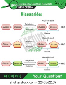 Biology, DNA helix, DNA replication, next generation question template, exam question, eps