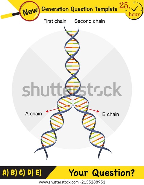 Biology, DNA helix, DNA replication,\
next generation question template, dumb physics figures,\
eps