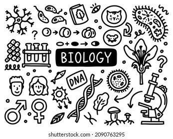Biology Doodle Line Set School University. Outline Subject. Vector Illustration