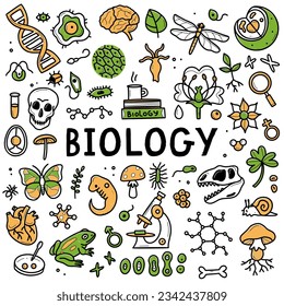 Biology doodle set. Collection of hand drawn elements science biology. Vector illustration isolated on a white background