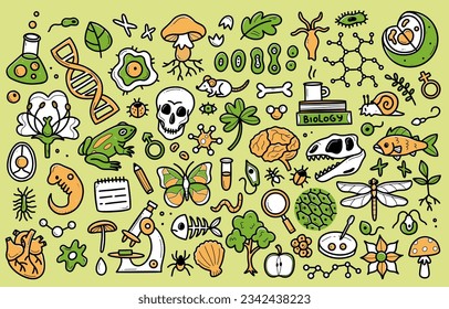 Biology doodle set. Collection of hand drawn elements science biology. Vector illustration isolated on a white background