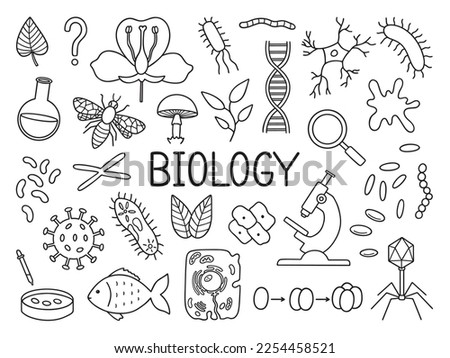Biology doodle set. Education and study concept. School equipment, viruses, bacteria in sketch style. Hand drawn vector illustration isolated on white background