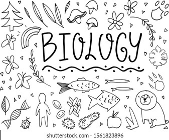 Biology Doodle Vector Stock Vector (Royalty Free) 1561823896 | Shutterstock