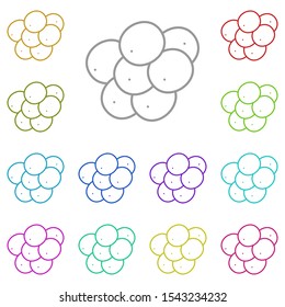 Biology, eggs iconmulti color icon. Simple thin line, outline vector of biology icons for ui and ux, website or mobile application