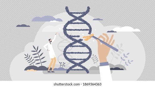 Biology as gene manipulation and DNA engineering science tiny person concept. GMO clone research with sequence modification and artificial change for evolution experiment and study vector illustration