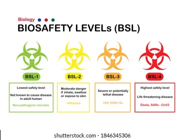 Biology Graphic Explain Biohazard Sign Biosafety Stock Vector (Royalty ...