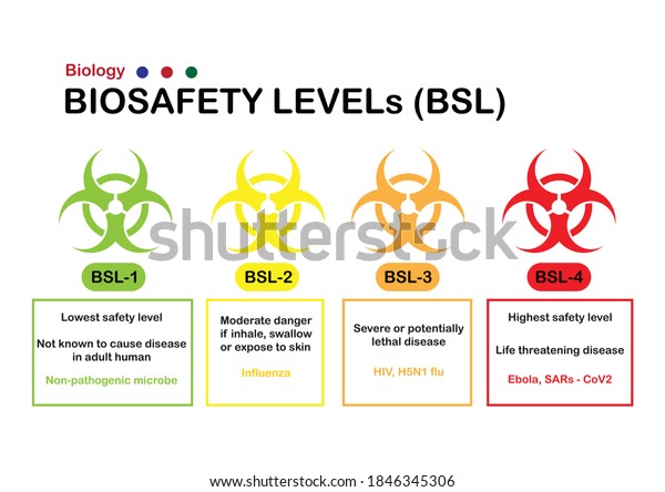 Biology Graphic Explain Biohazard Sign Biosafety Stock Vector (Royalty ...