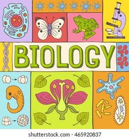 Biology Hand Drawn Colorful Vector Illustration With Doodle Icons, Biological Images And Objects, Isolated On Background.