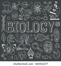 Biology hand drawn colorful vector illustration with doodle icons, biological images and objects, isolated on blackboard.