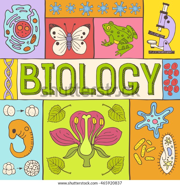 生物学の手描きのカラフルなベクターイラストと落書き風アイコン 生物画像 背景に物 のベクター画像素材 ロイヤリティフリー