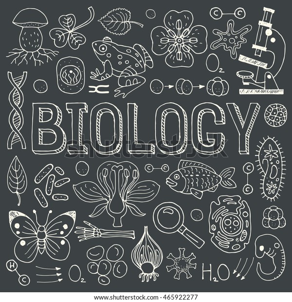 Biology Hand Drawn Colorful Vector Illustration Stock Vector (Royalty