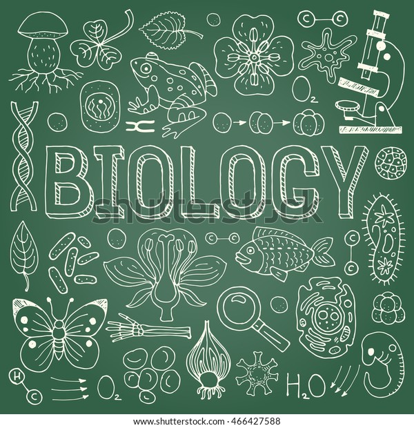 Biology Hand Drawn Vector Illustration Doodle Stock Vector (royalty 