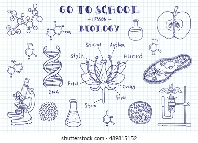 Biology. Hand sketches on the theme of biology. Note book page paper. Vector illustration.