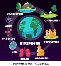 Biology hierarchy infographic about Ecosystem keeping planet Earth in balance. Biosphere - science cartoon vector poster about population of different life forms.