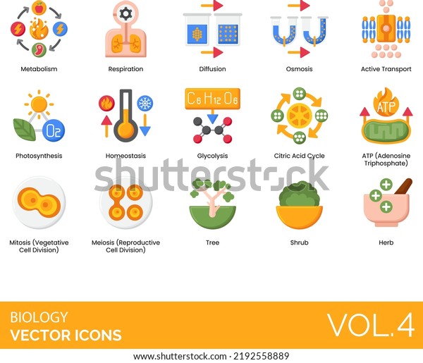 Biology Icons including Active Transport,\
Algae, Amphibian, Anatomy, Animal, Annelid, Arthropod, ATP\
Adenosine Triphosphate, Biology, Biosphere, Bird, Botany,\
Carnivore, Cell Membrane, Cell\
Organelle