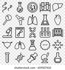 Biology icons set. set of 25 biology outline icons such as test tube, microscope, liver, heart organ, lungs, bladder, bone, bacteria, x ray, search sperm, dna, sperm