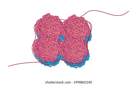 Biology Illustration Of Histone Protein, DNA Wound Proteins, Amino Acid Complex With Million Of Peptide Bonds And Polypeptides, 8 Histone Proteins (H2A, H2B, H3, And H4) Core, Around Which Two Turns.