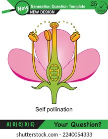 Biología, notas de conferencia, fisiología de planta, flor, semilla, raíz, tallo, hoja, plantilla de preguntas de próxima generación, eps