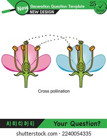 Biology, Lecture notes, plant physiology, flower, seed, root, stem, leaf, next generation question template, eps