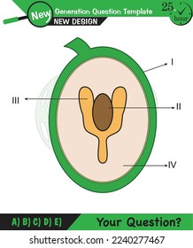 Biología, notas de conferencia, fisiología de planta, flor, semilla, raíz, tallo, hoja, plantilla de preguntas de próxima generación, eps