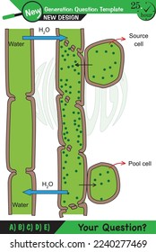 Biology, Lecture notes, plant physiology, flower, seed, root, stem, leaf, next generation question template, eps