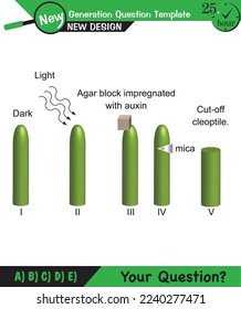 Biology, Lecture notes, plant physiology, flower, seed, root, stem, leaf, next generation question template, eps