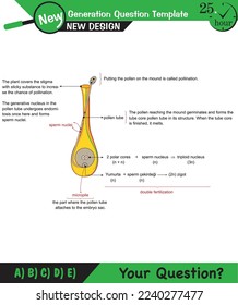 Biology, Lecture notes, plant physiology, flower, seed, root, stem, leaf, next generation question template, eps