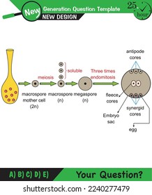 Biology, Lecture notes, plant physiology, flower, seed, root, stem, leaf, next generation question template, eps