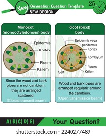 Biology, Lecture notes, plant physiology, flower, seed, root, stem, leaf, next generation question template, eps