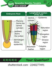 Biology, Lecture notes, plant physiology, flower, seed, root, stem, leaf, next generation question template, eps