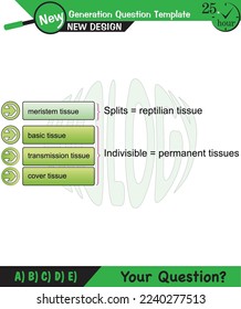 Biology, Lecture notes, plant physiology, flower, seed, root, stem, leaf, next generation question template, eps