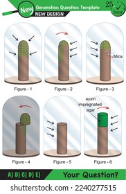 Biology, Lecture notes, plant physiology, flower, seed, root, stem, leaf, next generation question template, eps