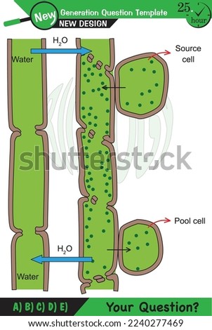 Biology, Lecture notes, plant physiology, flower, seed, root, stem, leaf, next generation question template, eps