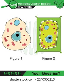 Biology lecture notes, Structure of plant and animal cells, next generation question template, exam question, eps