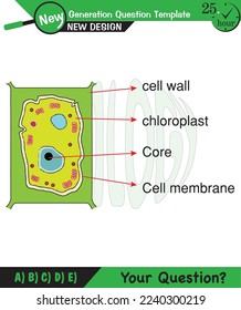 Biology lecture notes, Structure of plant and animal cells, next generation question template, exam question, eps