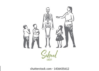 Biology lesson concept sketch. Teacher telling about human anatomy. Students studying skeleton structure. Group of young pupils, two boys and girl. Isolated vector illustration