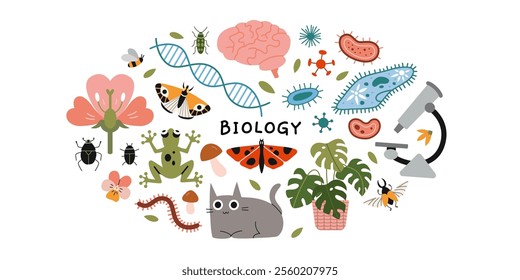 Biology lesson at school, science. Round composition with microscope, microorganisms, brain, insects, frog, cat and plants. Education concept. Vector illustration isolated on white, hand drawn, flat